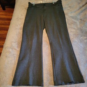 Torrid Bootcut Pants